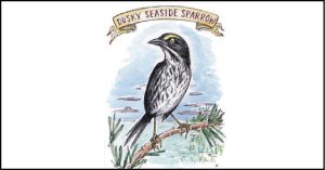 Where-Have-Sparrows-Gone