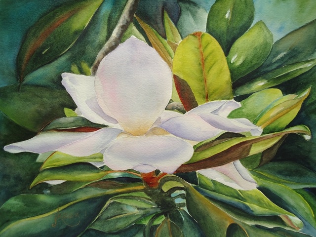 Magnolia