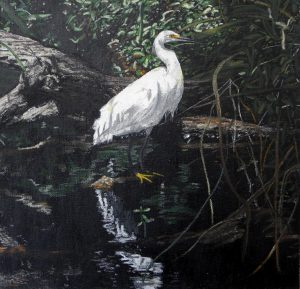Great White Heron