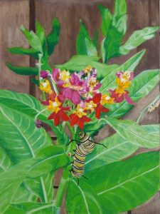 Monarch